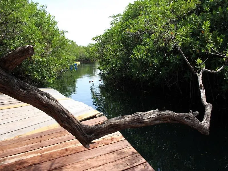 Hotel Maya Cabanas Y Cenote טולום 2*,