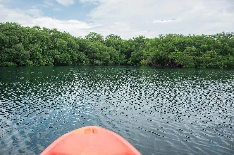 **  Hotel Maya Cabanas Y Cenote Tulum México